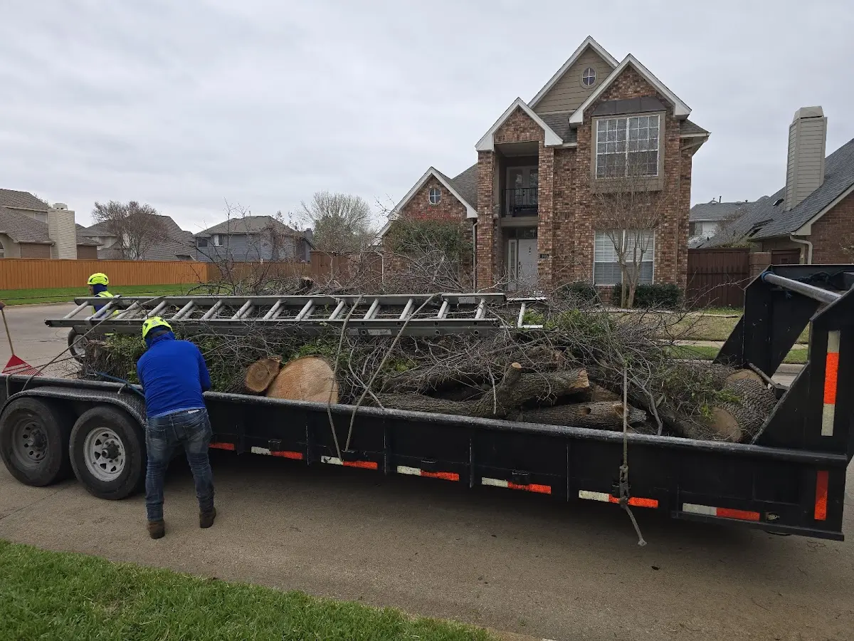 Expert Tree Fertilization with proper safety equipment in Baldwinsville